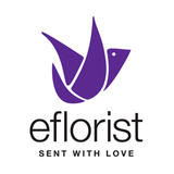eFlorist UK