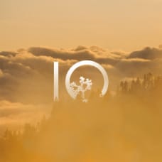 Ten Tree