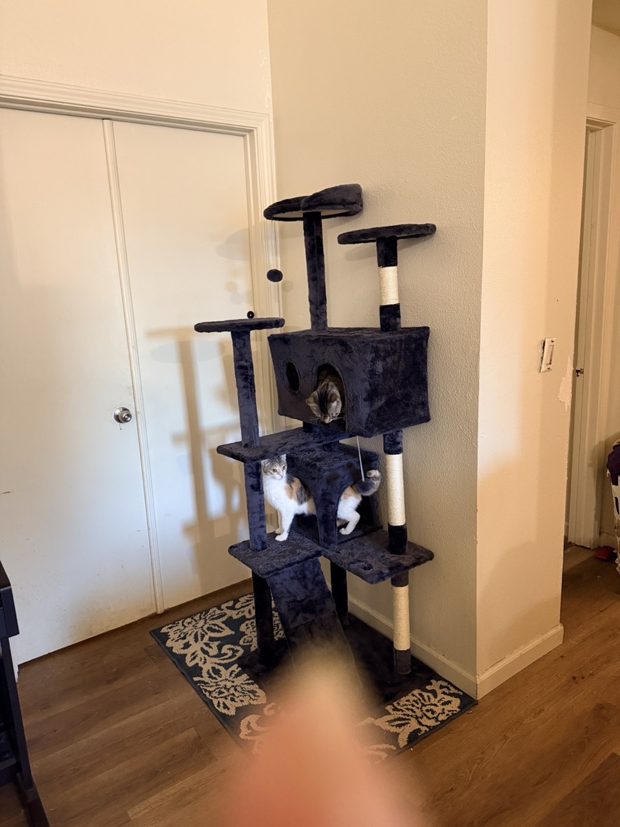 fr***59 review image 3