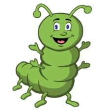 Inchbug