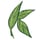 Kats Botanicals