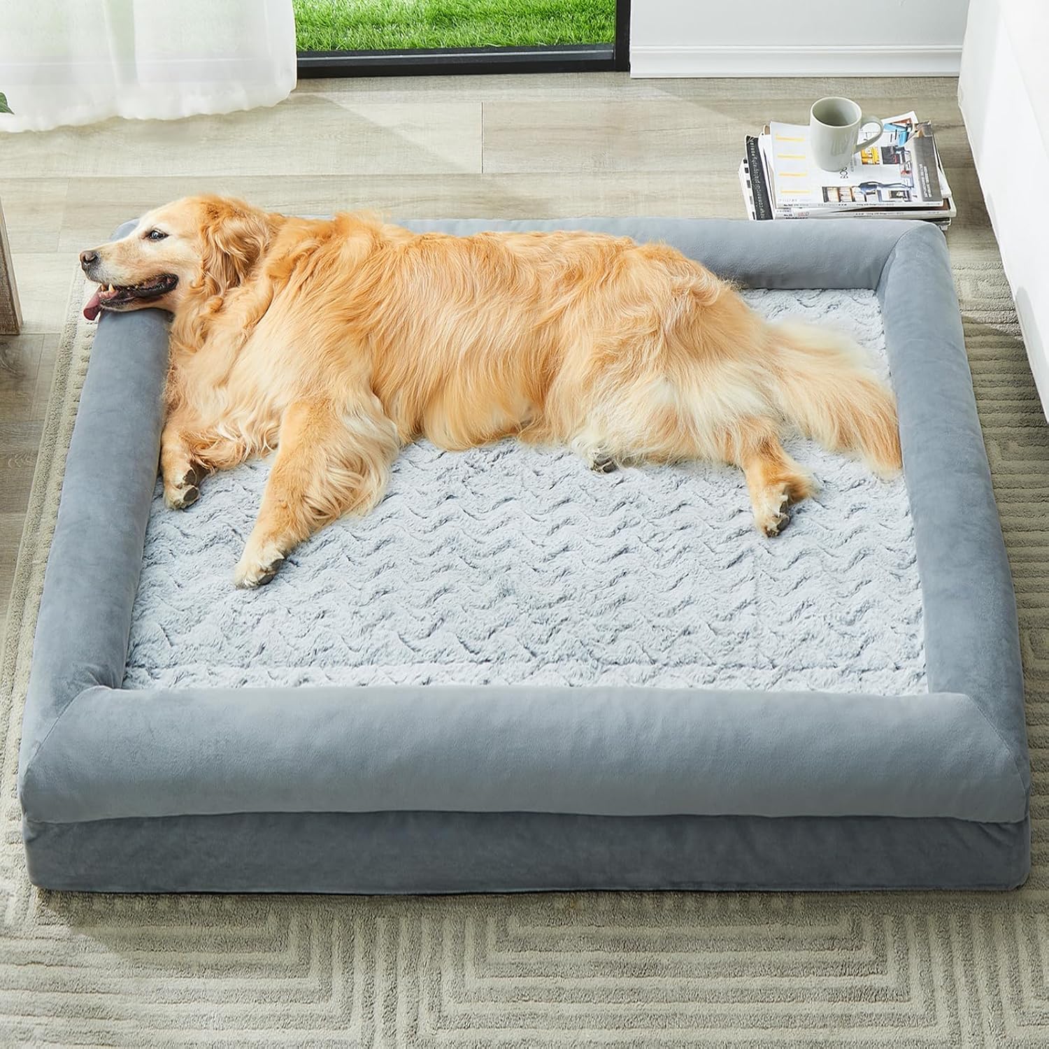 Top 5 Best Orthopedic Dog Beds of February 2026