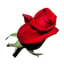 Flowers Fast