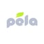 Pela Case