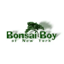 Bonsai Boy of New York