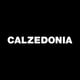 Calzedonia logo - coupon codes and deals