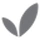 Boody logo - coupon codes and deals