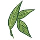 Kats Botanicals logo - coupon codes and deals