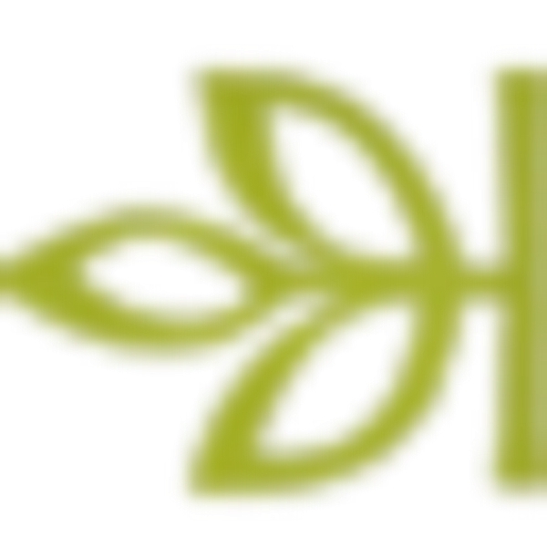Ancestry logo
