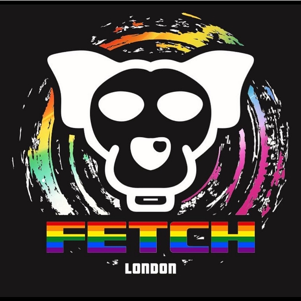 Fetch logo