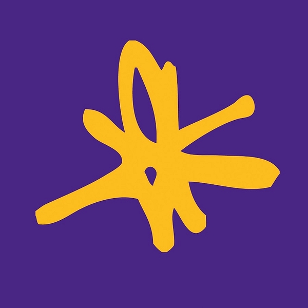 Newcastle Airport logo