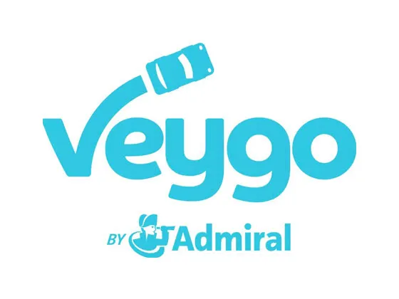 Veygo logo