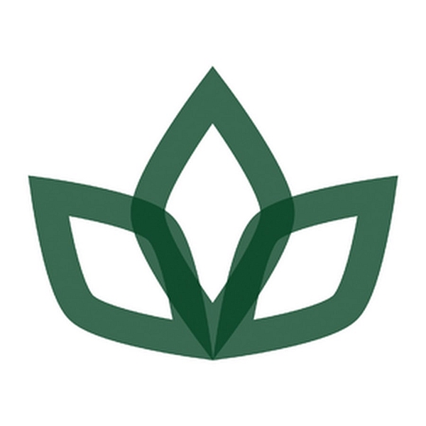 White Stores logo